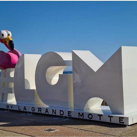 Appartement Secteur Couchant Residence Piscine 300M De La Plage ラ・グランド・モット エクステリア 写真